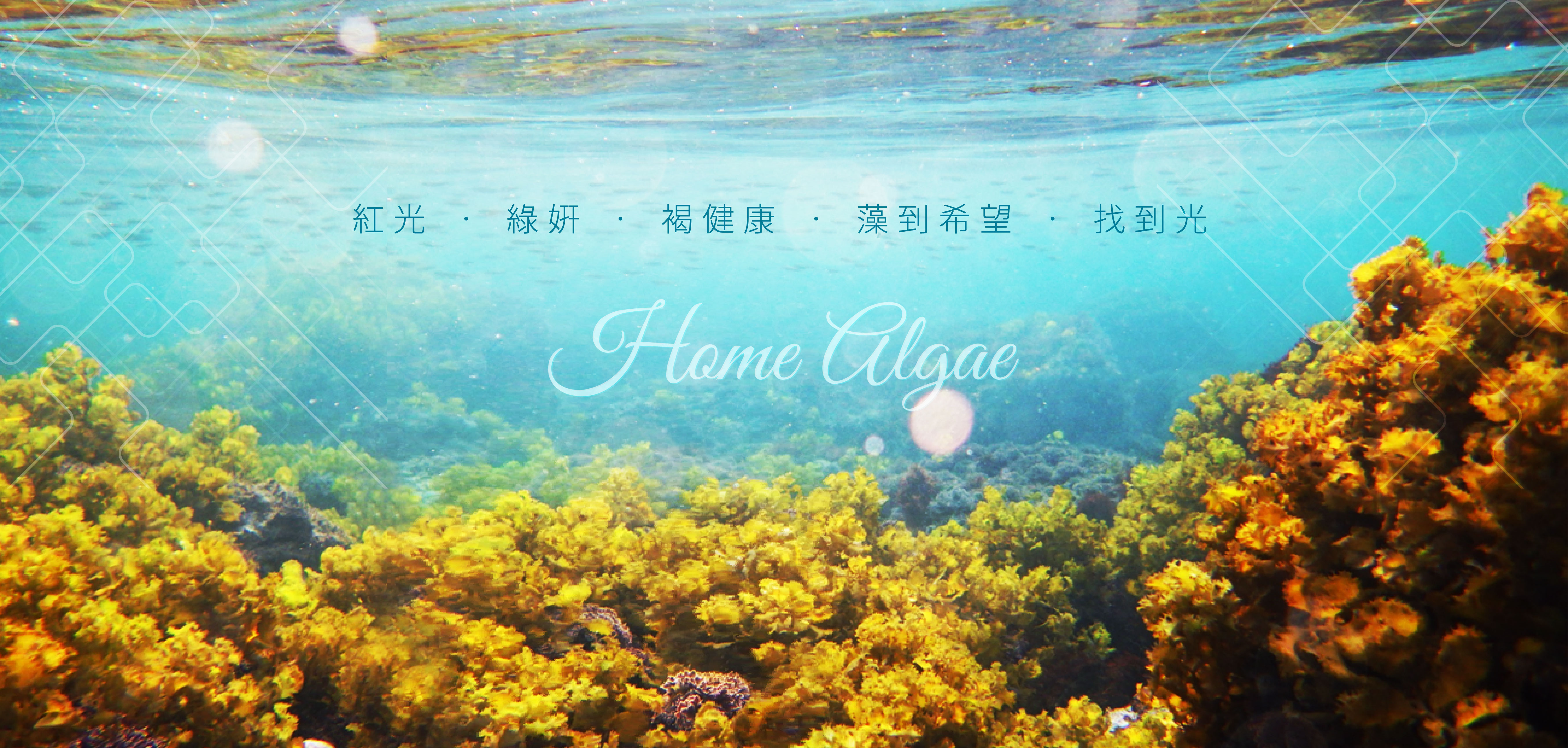 index_banner.jpg undefined